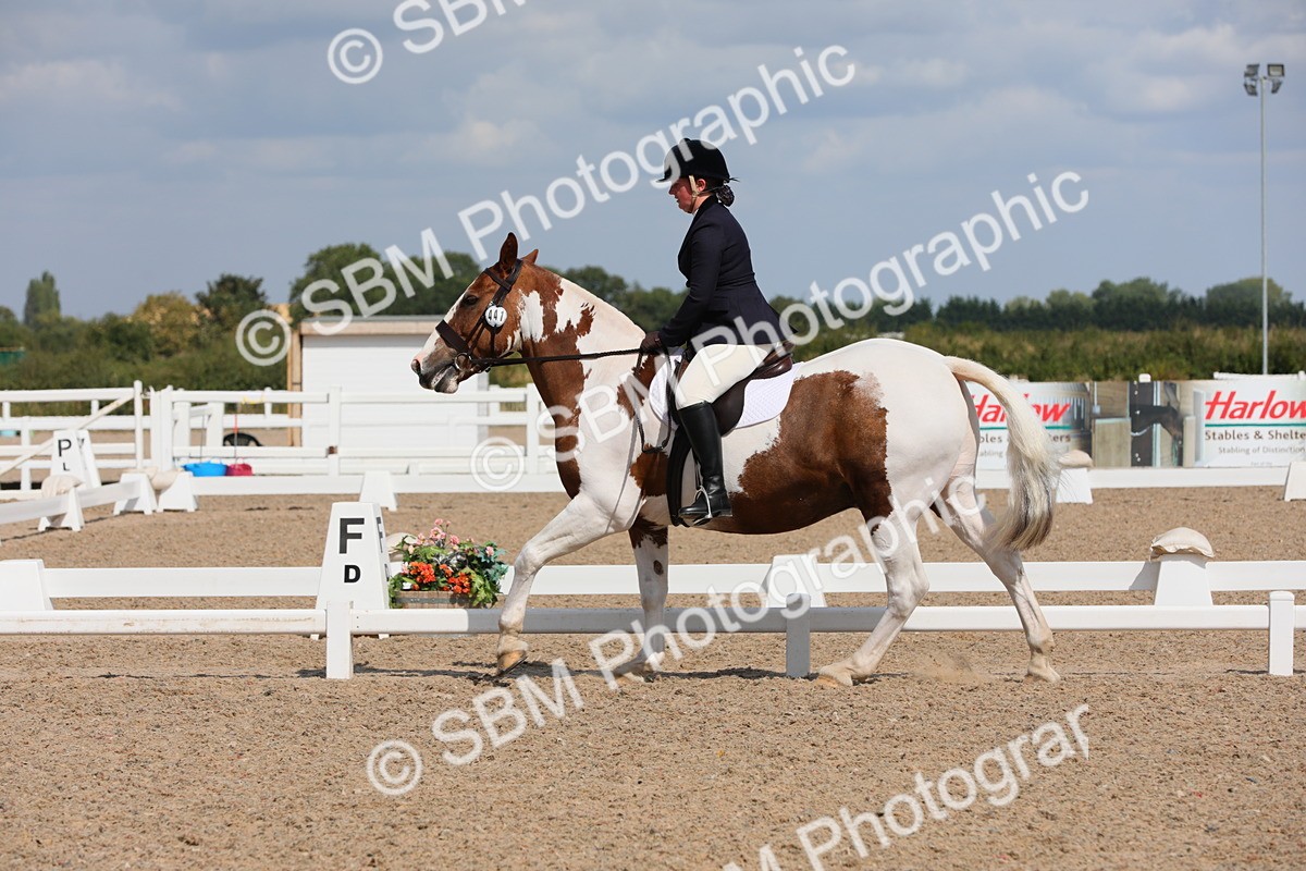 SBM_04153 - Class 31 Prelim 1