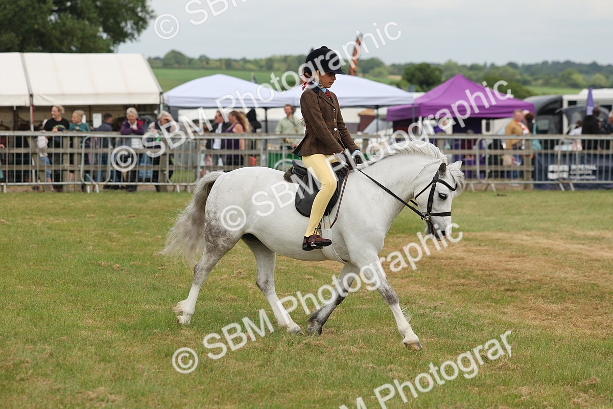 SBM_06869 - Class 74-75 - M&M Lead Rein and First Ridden Pony