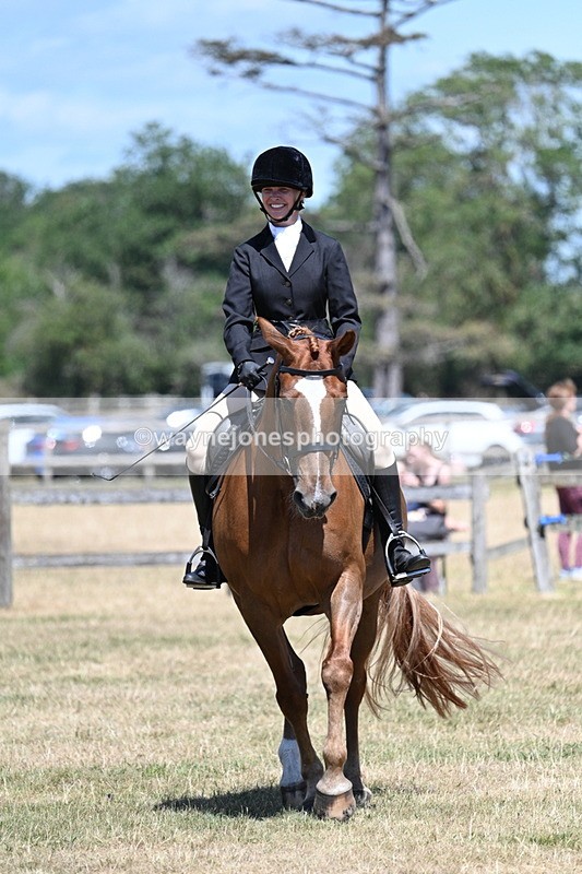 WJ7_3027 - Class 7 Riding Club Show Horse