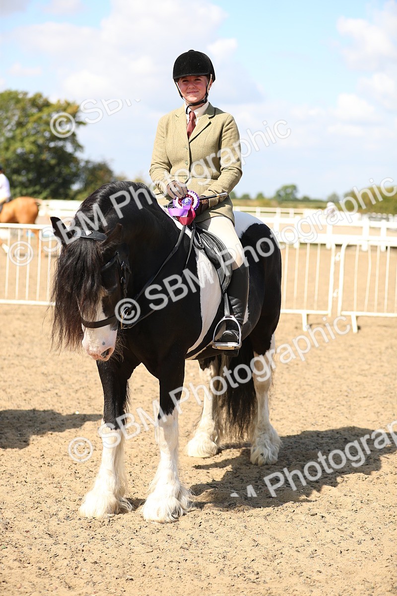 SBM_03297 - Class 44 Riding Club Horse/ Pony