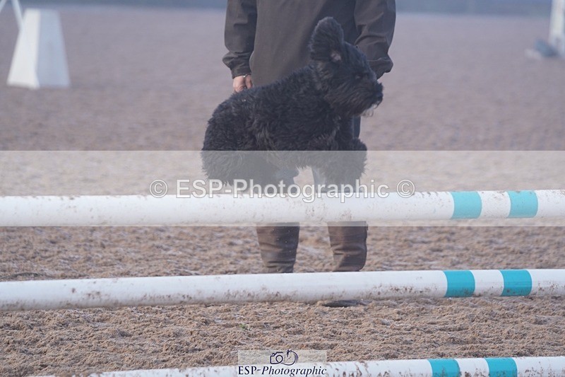 250209-101748-01346 - Cls 18+19 50cm and Club + Schools 60cm