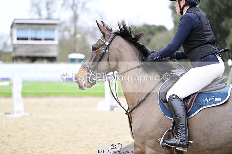 260214A-164506-01505 - 6 Foxhunter and 1m 20 Open