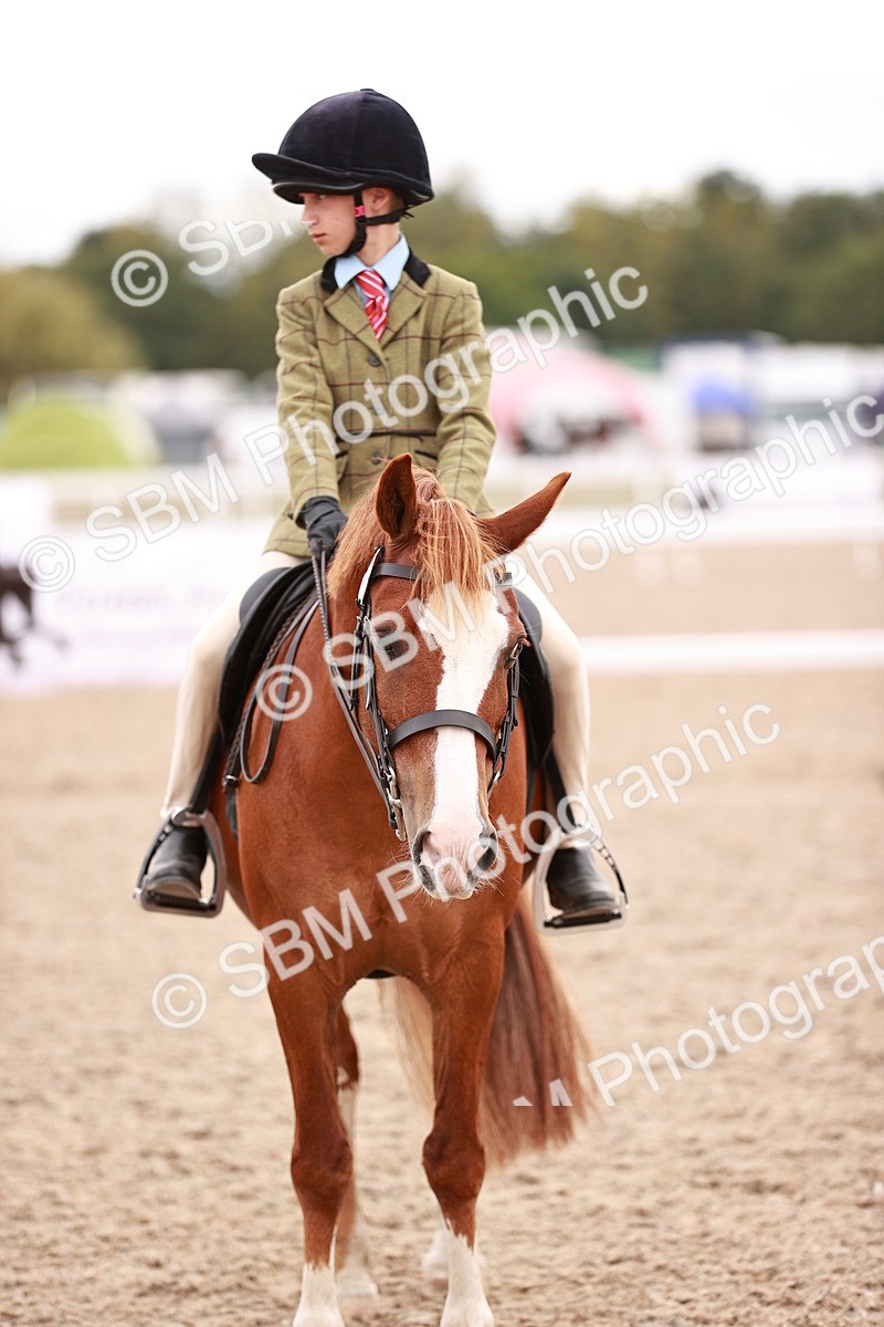 SBM_18564 - Class 421 - Childs Best Friend - Jnr