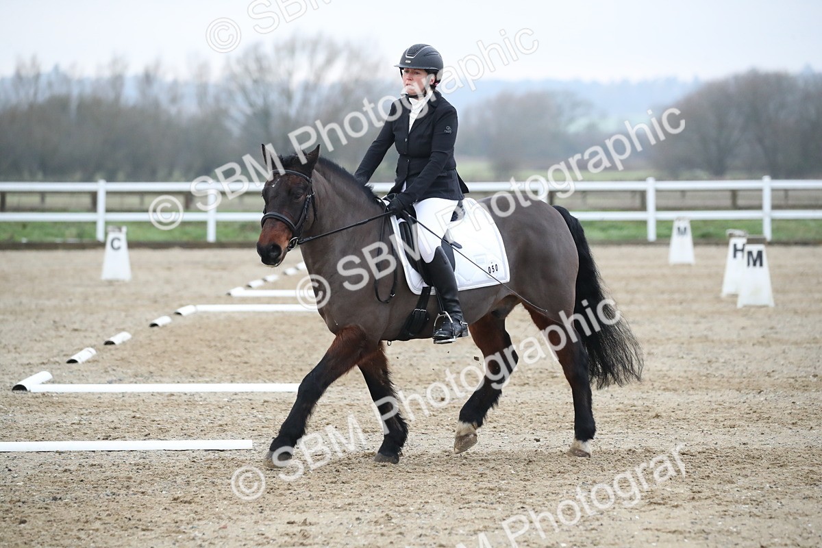 SBM_004638 - Novice 3