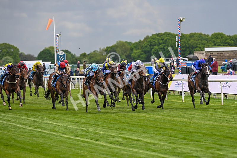 140526-Race 3-Maybe Not-4871 - Race 3 2.55pm Oakmere Homes Hambleton Handicap
