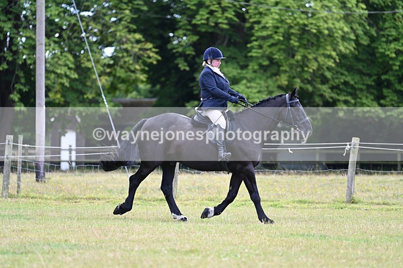 WJ7_9062 - Class 8 Ridden Veterans