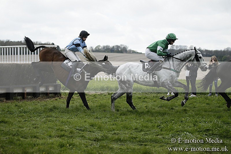 PtP 170417 81 - Old Berks Point-to-Point Lockinge 17/04/17