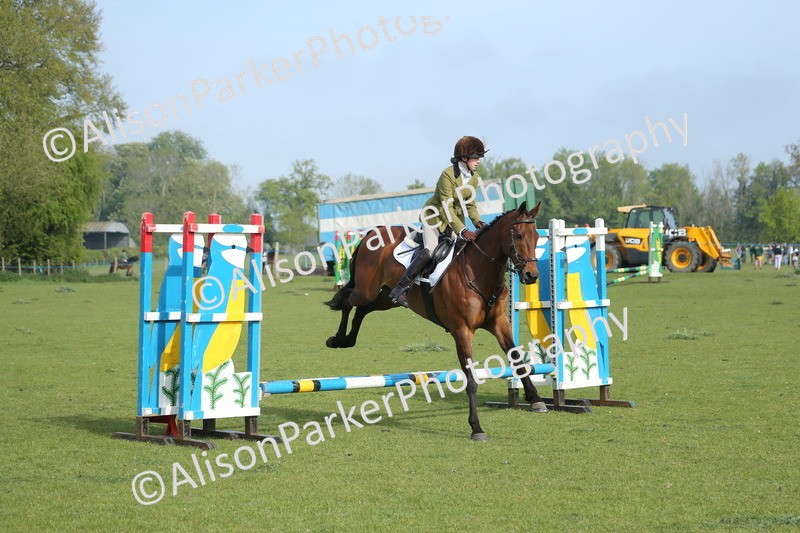 20260426-0081 - Class 13 - Rookie Jumping 50cm
