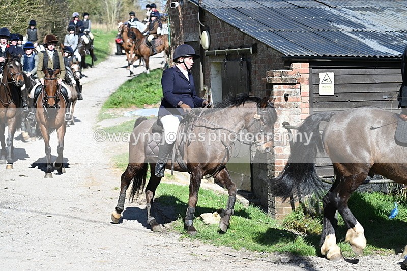 WJ7_9718 - Home for hunt tea !