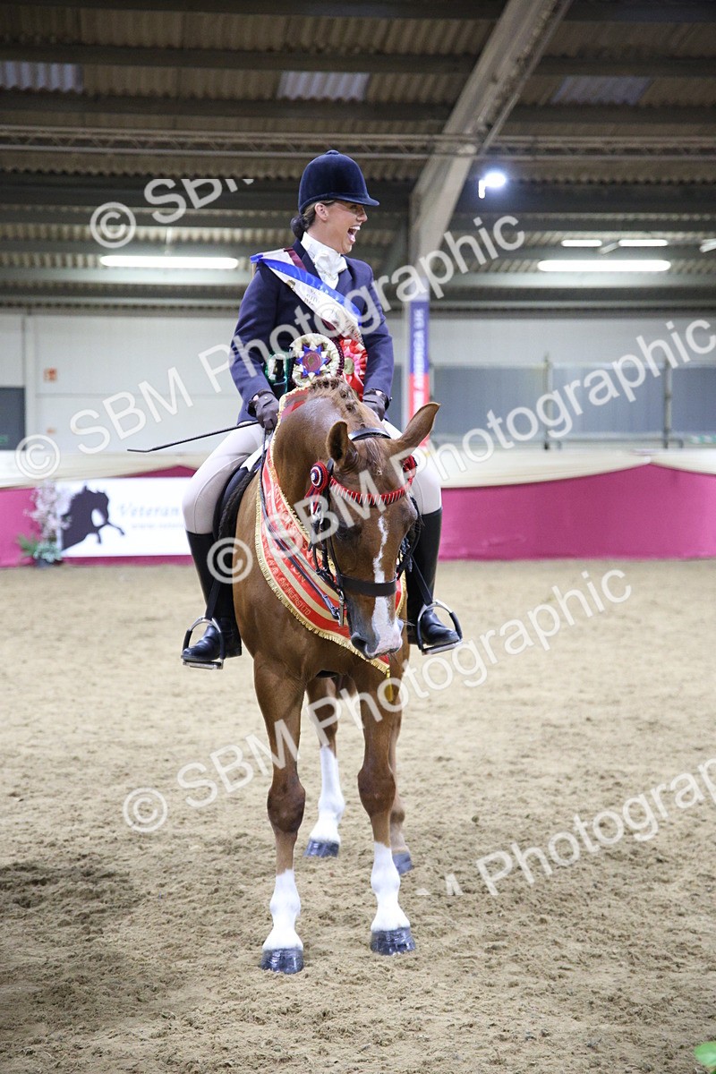 5K7A1539 - Class M Ridden Pairs Champ