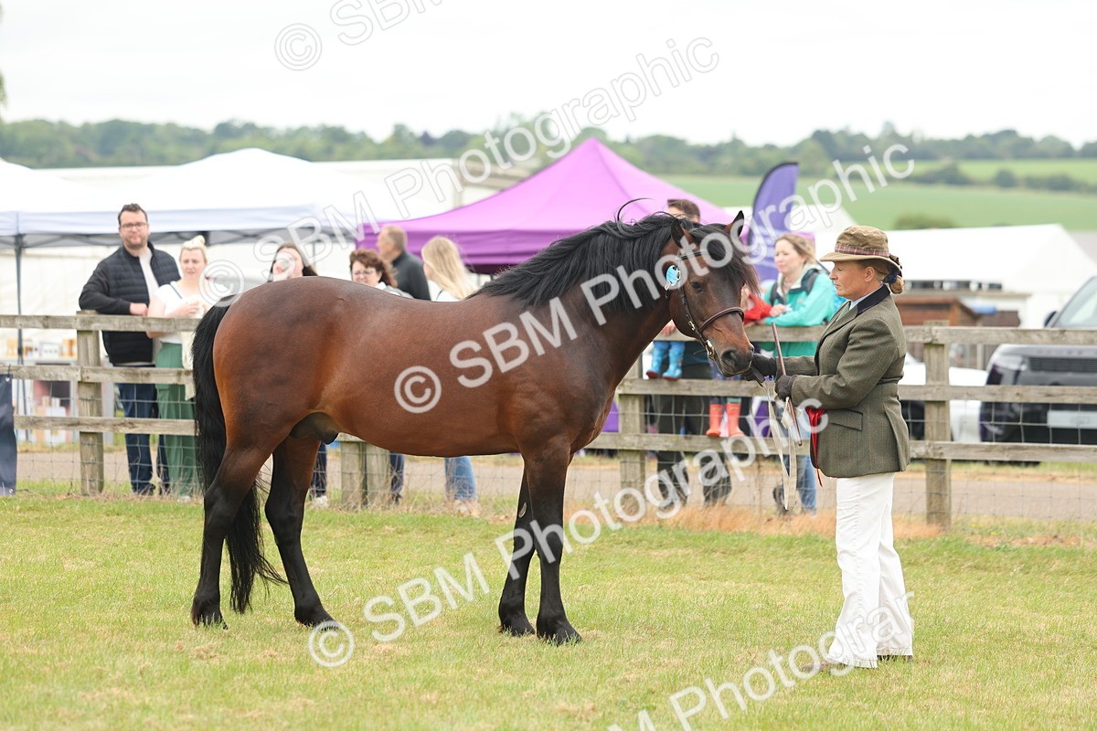 SBM_05073 - Class 50-57 - M&M Welsh Pony In Hand