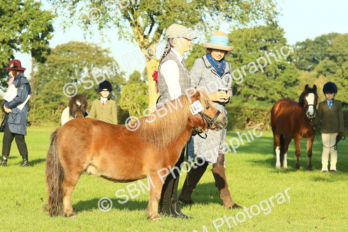 SBM_57426 - S37 - Starters In Hand Showing