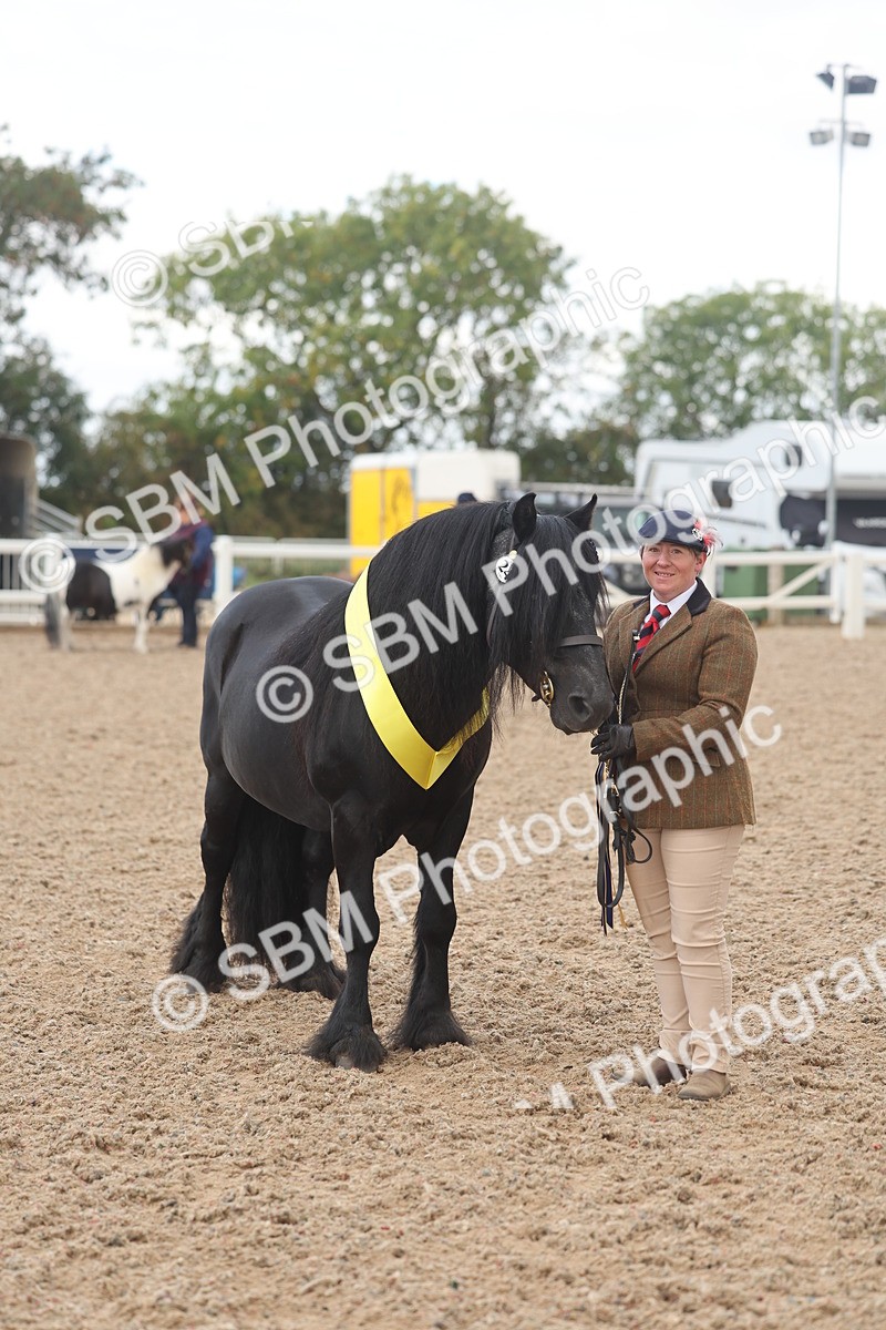 SBM_03296 - Class 16 - IH M&M Wildcard