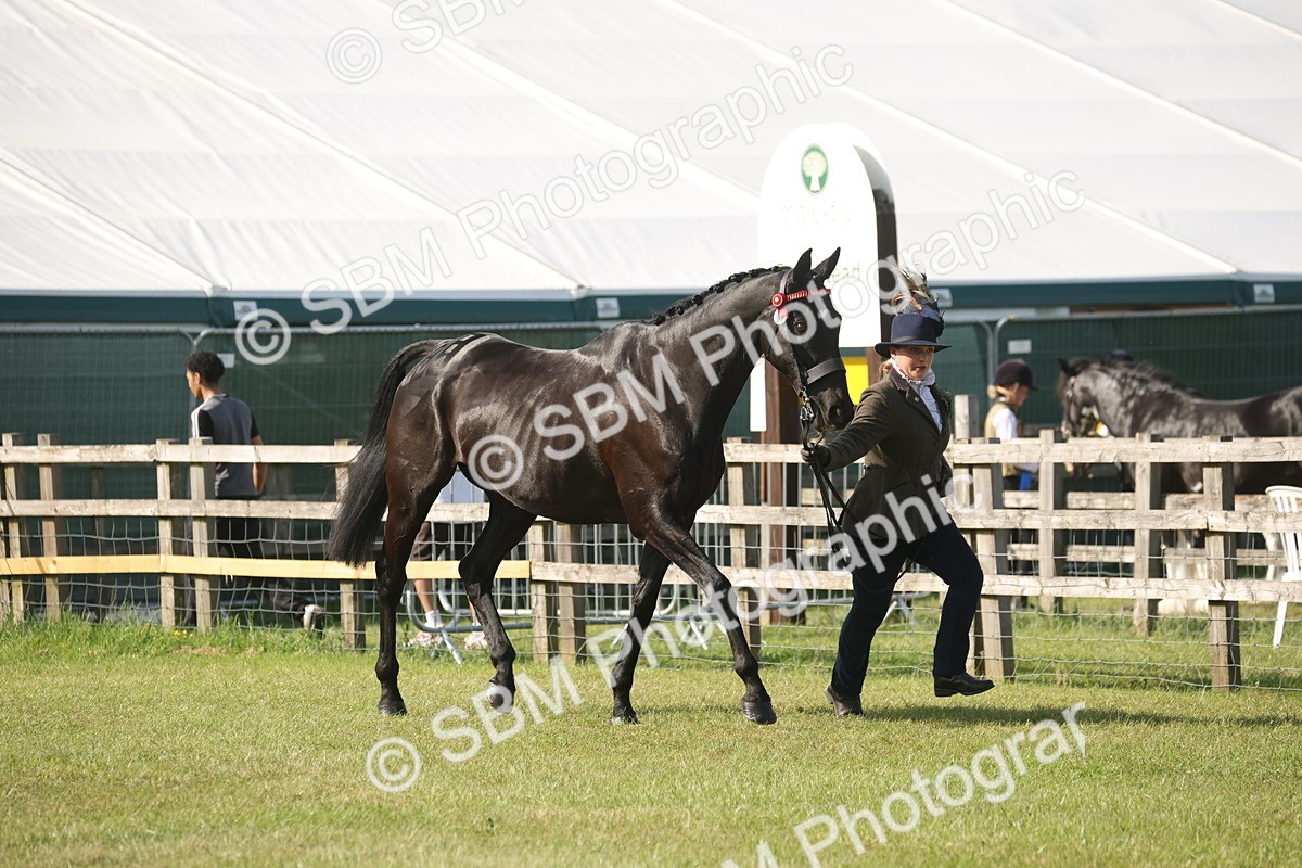 SBM_10312 - Class 33-38 - SSADL RIHS Qualifiers