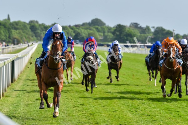 270523-Race 7-Shining Blue-4671 - Race 7 5.00pm Reg Bond Always And Forever Handicap