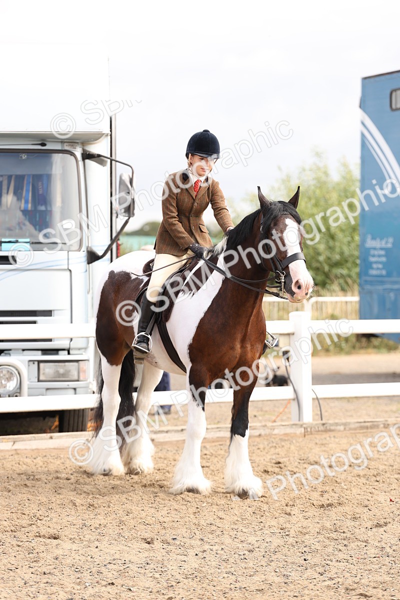 SBM_04273 - Class 54 - Riding Club Horse/Pony