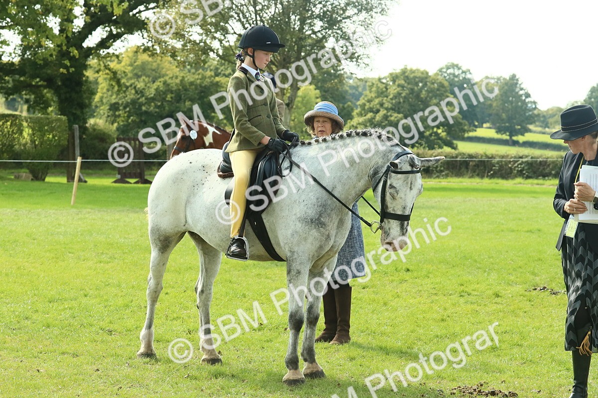 SBM_67531 - S56 - Coloured Pony Ridden