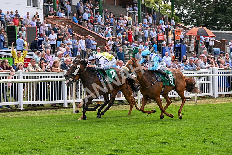 010726-Race 5-Saucy Jane-8485 - Race 5 15.10pm David Lever Memorial Handicap