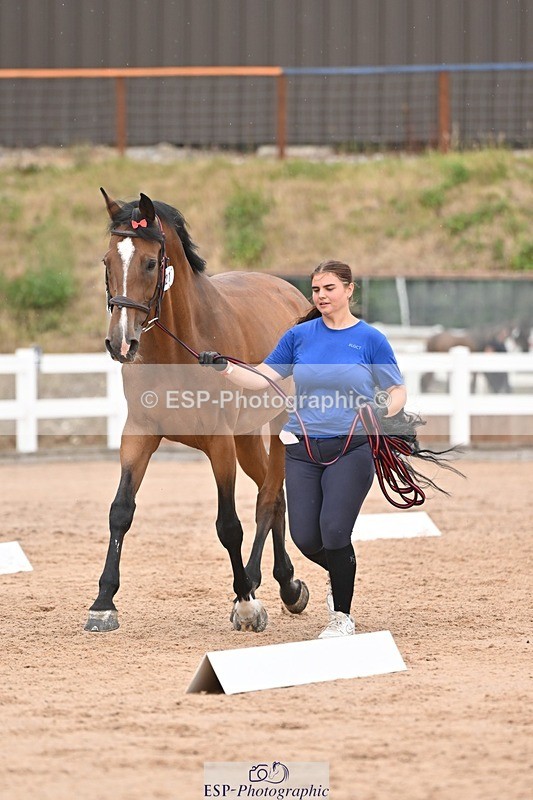 250716-160902-02452 - Trot Up 3.30 to 4.30