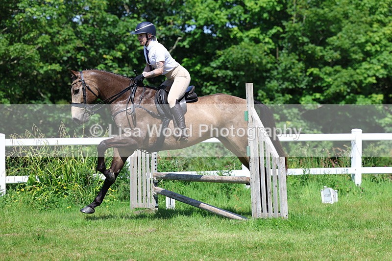 3E7A6924 - Class 30: Novice Working Hunter