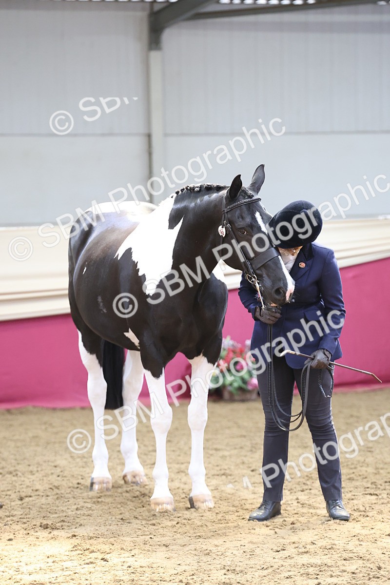 SBM_23403 - Class 903 - Supreme Final - IH Pre Vet