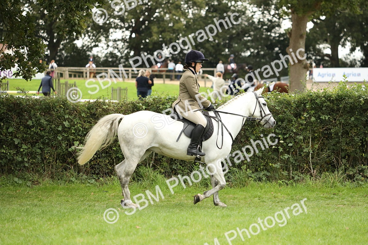 SBM_73672 - S41 - Ridden Equitation (Best Rider)