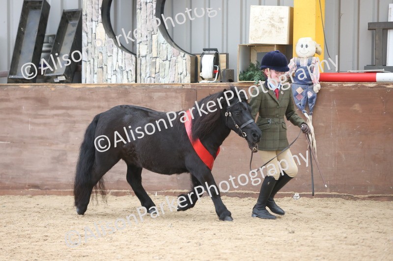 20251109-1205 - Young Handler Championship