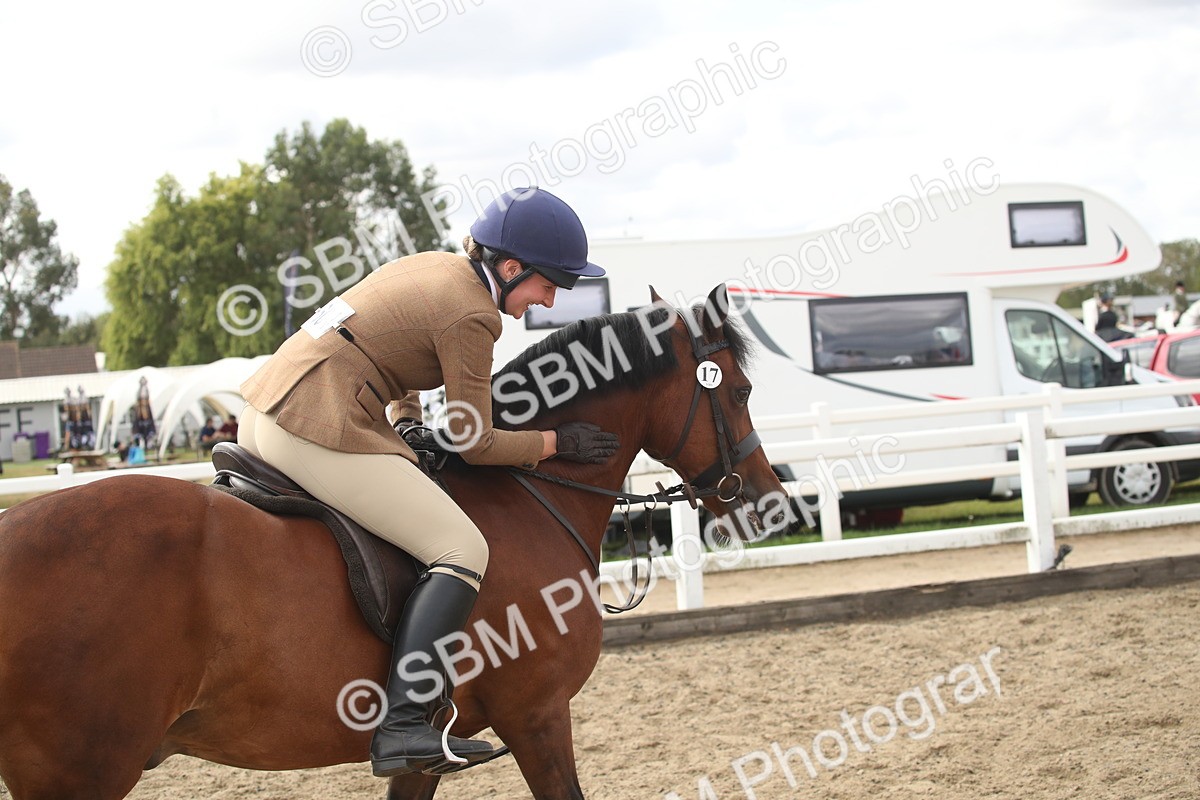 SBM_14523 - Class 505a - M&M Working Veteran - 50cm (15-19)