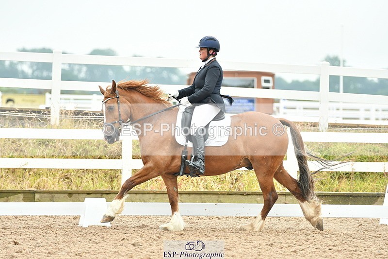 230708A-135430-02880 - Elementary 43