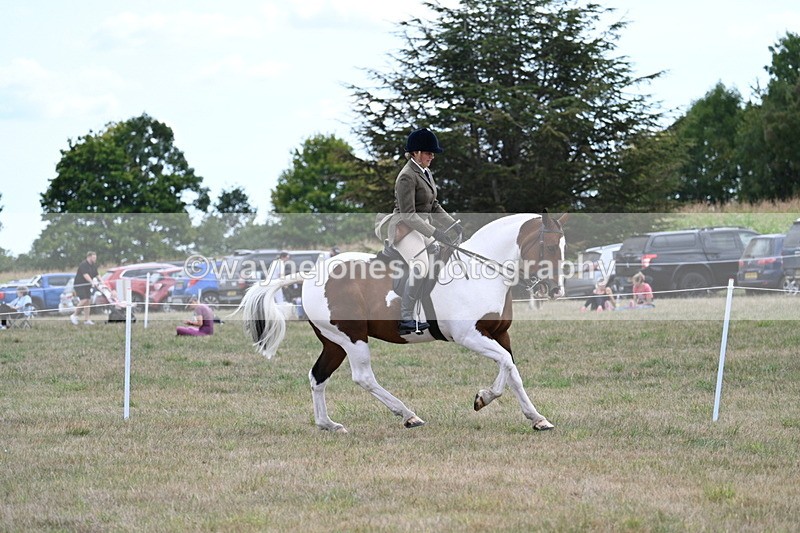 WJ7_5210 - Class 12 Ridden Cob