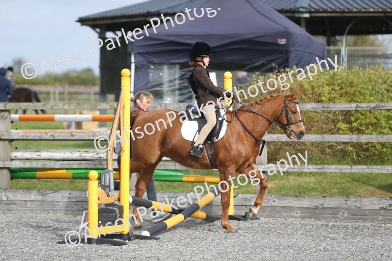 20260412-0089 - Show Jumping