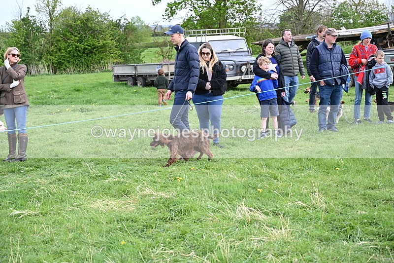 WJ6_8492 - Class 6 Best Rescue