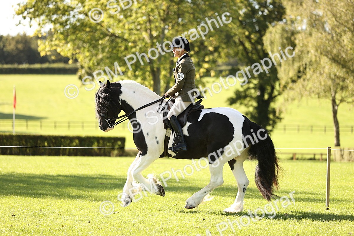 SBM_16931 - S2 - TSR Ridden Pony Showing