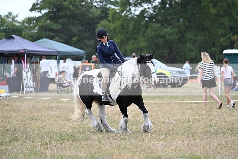 WJ7_5362 - Class 12 Ridden Cob