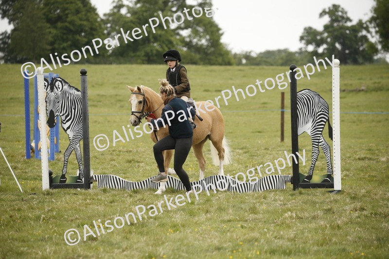 20250517-0211 - Class 1 - 30cm On Lead Rein