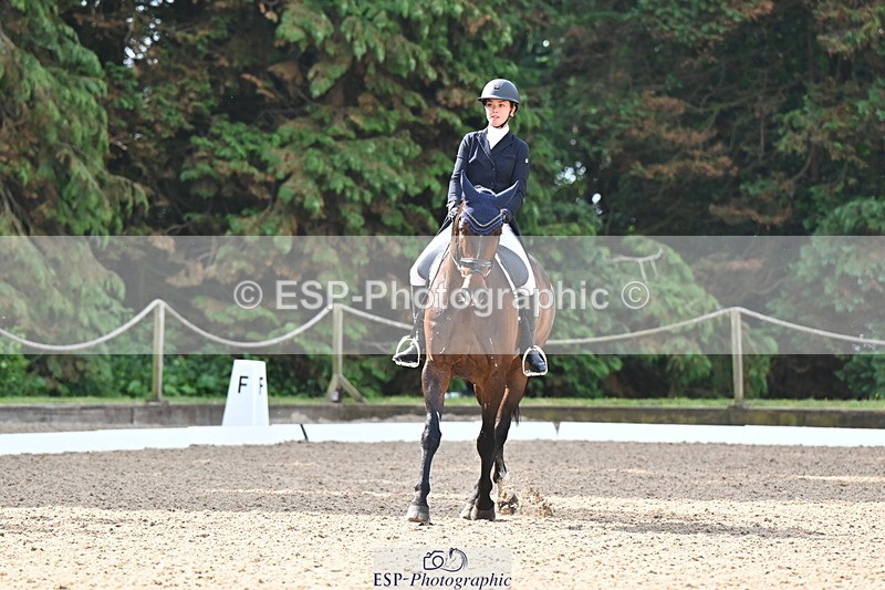 250523A-093123-05551 - D-459-Molly.Duda-DISCO.TRAVELER