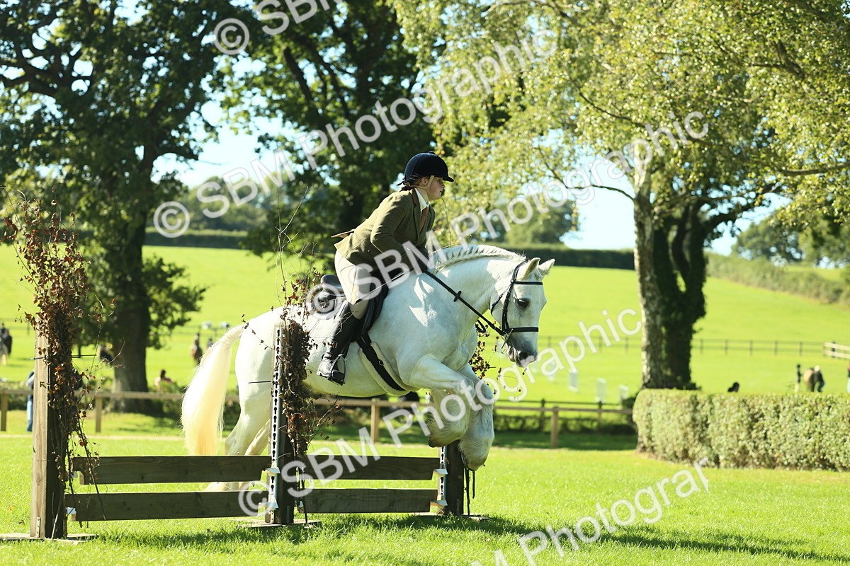 SBM_37383 - S29 - Novice & Newcomers Working Hunter Pony