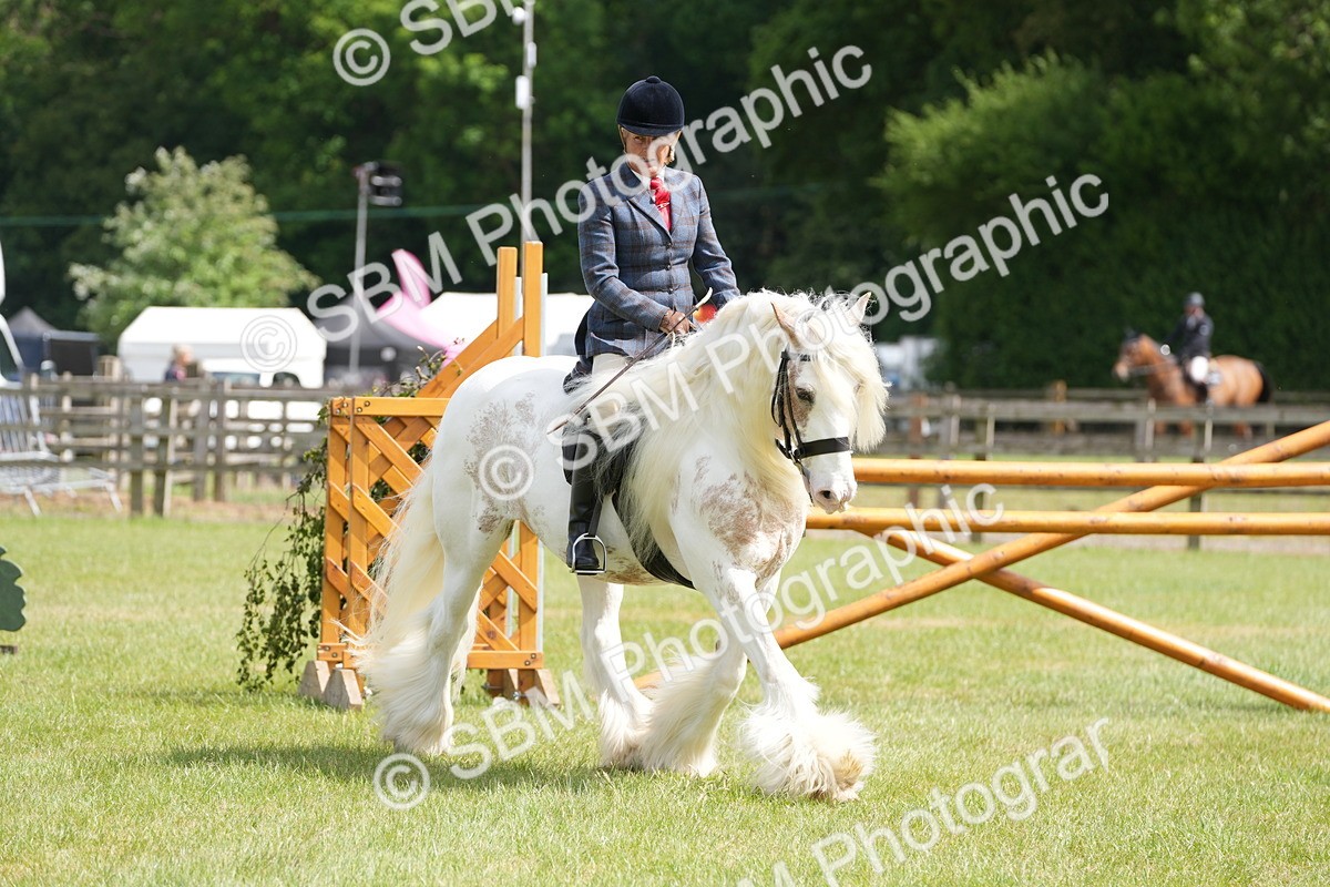 SBM_17180 - Class 107-108 - LIHS BSPS Performance Coloured Horse Pony