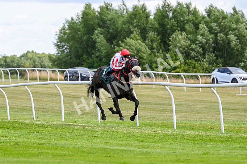 090725-Race 5-Cosmic Soul-3448 - Race 5