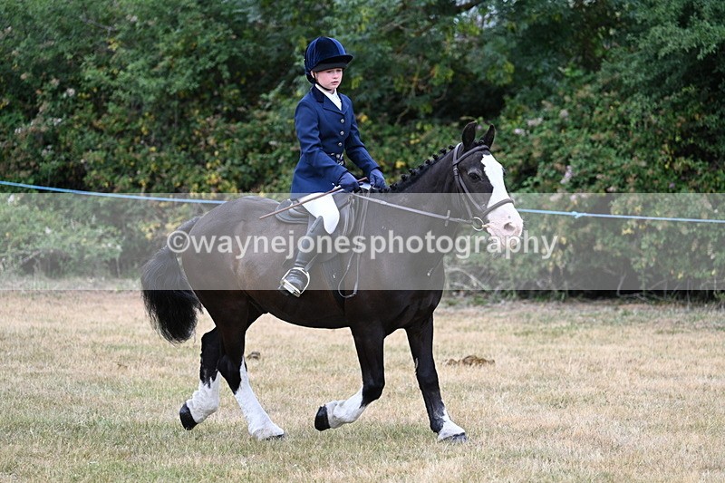 WJ7_0342 - Class 2 Best rider