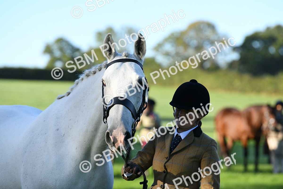 SBM_32813 - S15 - Condition & Turnout In Hand
