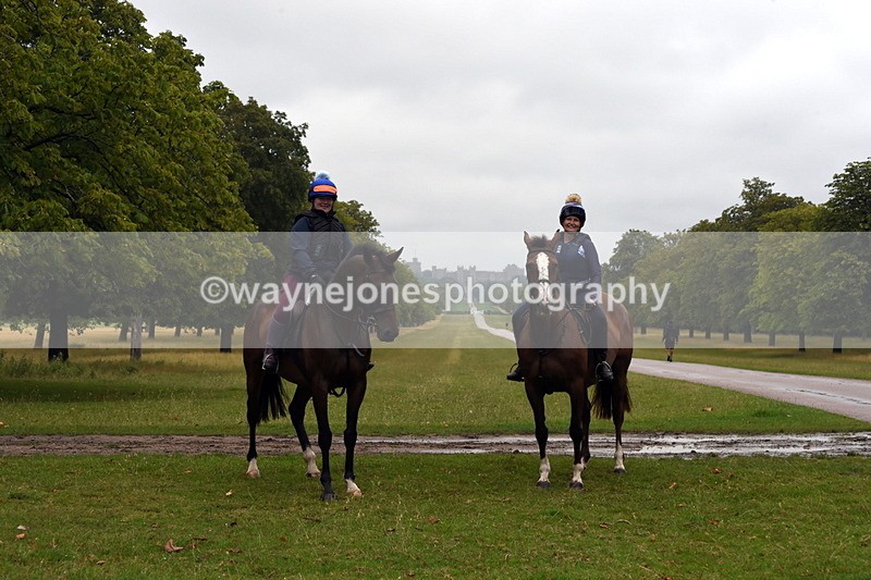 TT3_8137 - Time at Crossing 09:15 to 10:15