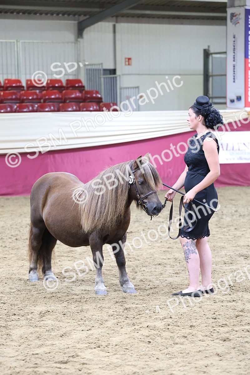 SBM_20163 - Class C - Novalty Champ