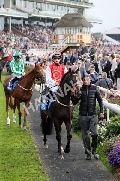 yr09102021r4-17 - Race 4 3.15pm Coral Sprint Trophy Handicap