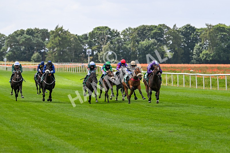 030824-Race 1-Mademoiselle-1376 - Race 1