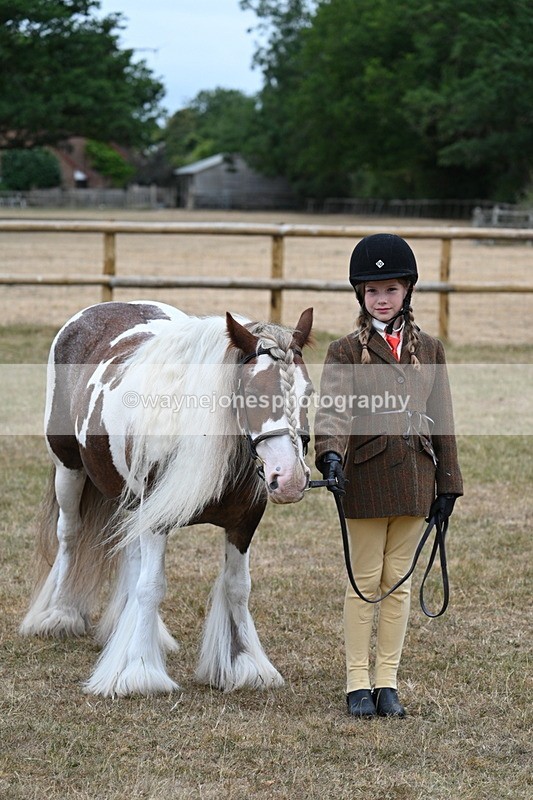 WJ7_8146 - Class 4 Prettiest Mare up to 14.2hh