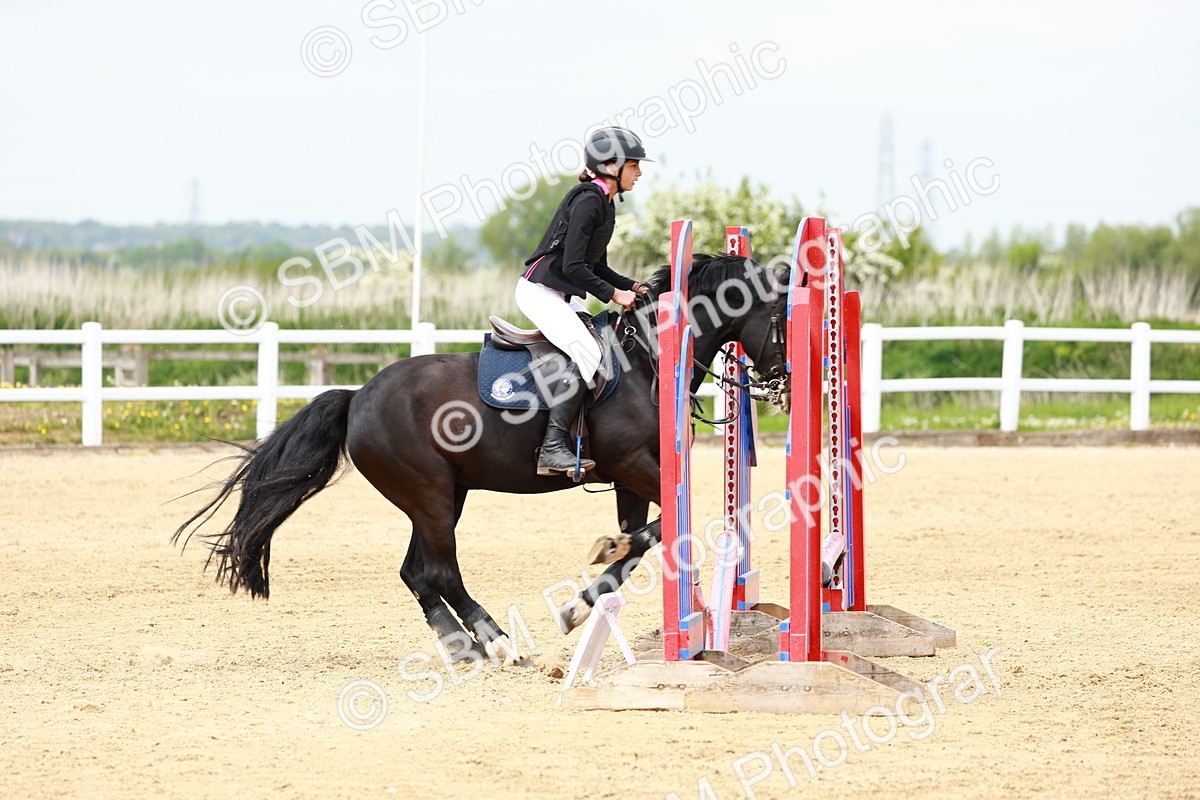 SBM_008096 - Class 3 - 60cm