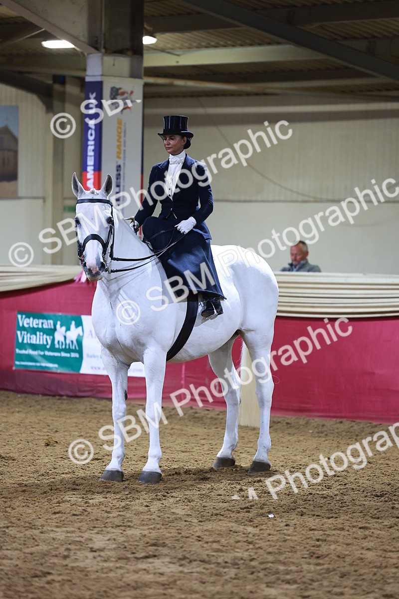 SBM_15031 - Class N - Side Saddle Champ