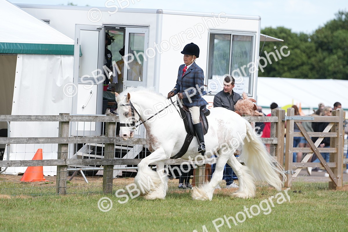 SBM_17167 - Class 107-108 - LIHS BSPS Performance Coloured Horse Pony
