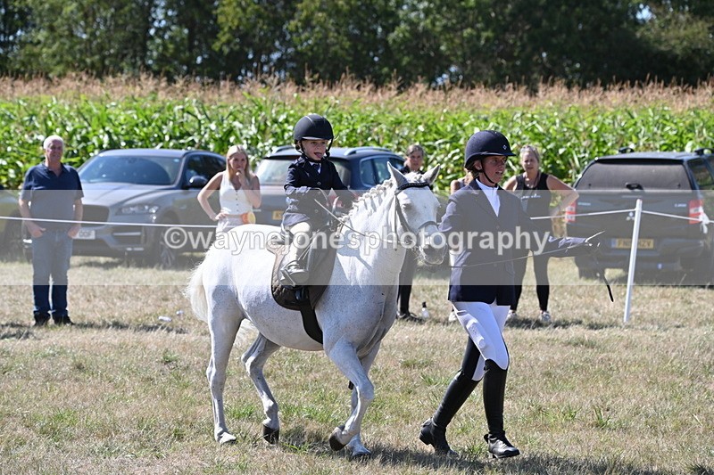 WJ6_8005 - Class 36 Lead Rein